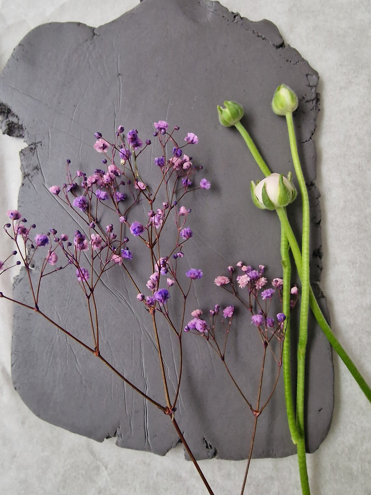 Taller Ceramica Botanica