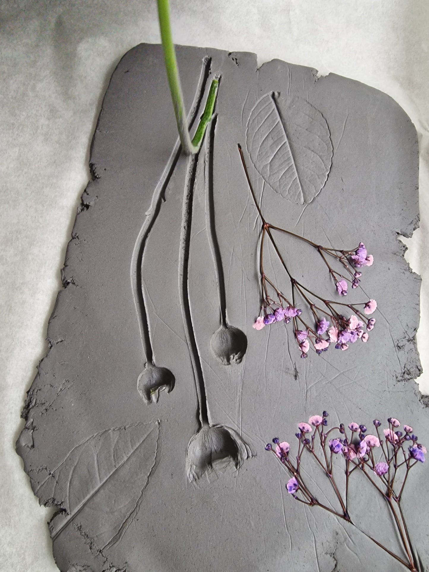 Taller Ceramica Botanica