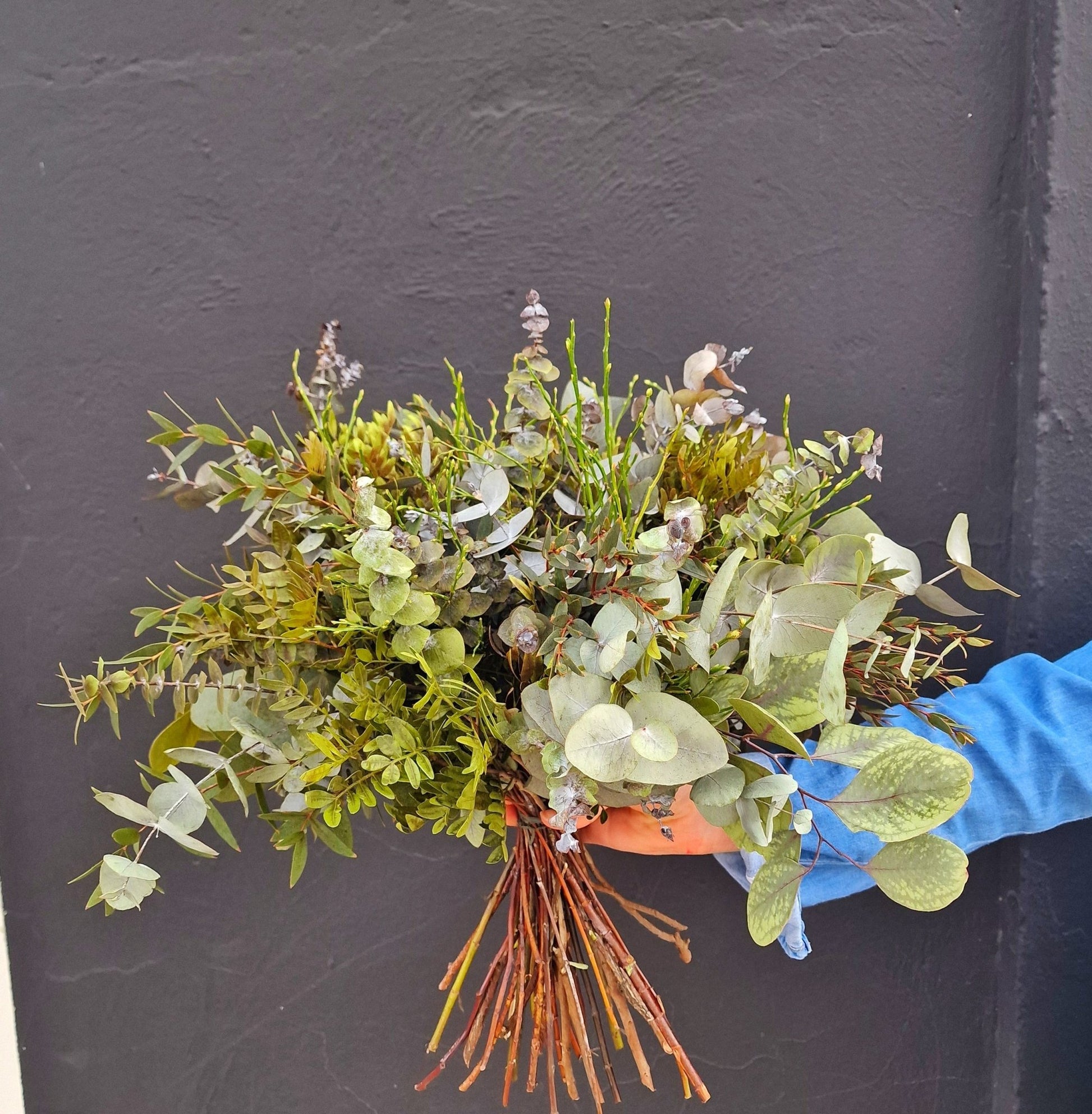 Ramo artesanal Ramo Verde – Ramo flores preservadas hecho a mano en Taller Floral by Vera Kiperi Zaragoza